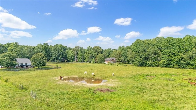 431 Jack Thomas Dr, Manchester, TN 37355 - view of yard featuring a view of trees