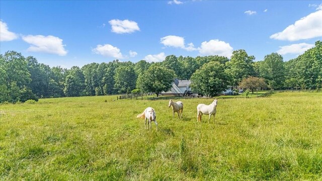 431 Jack Thomas Dr, Manchester, TN 37355 - view of yard with a view of countryside
