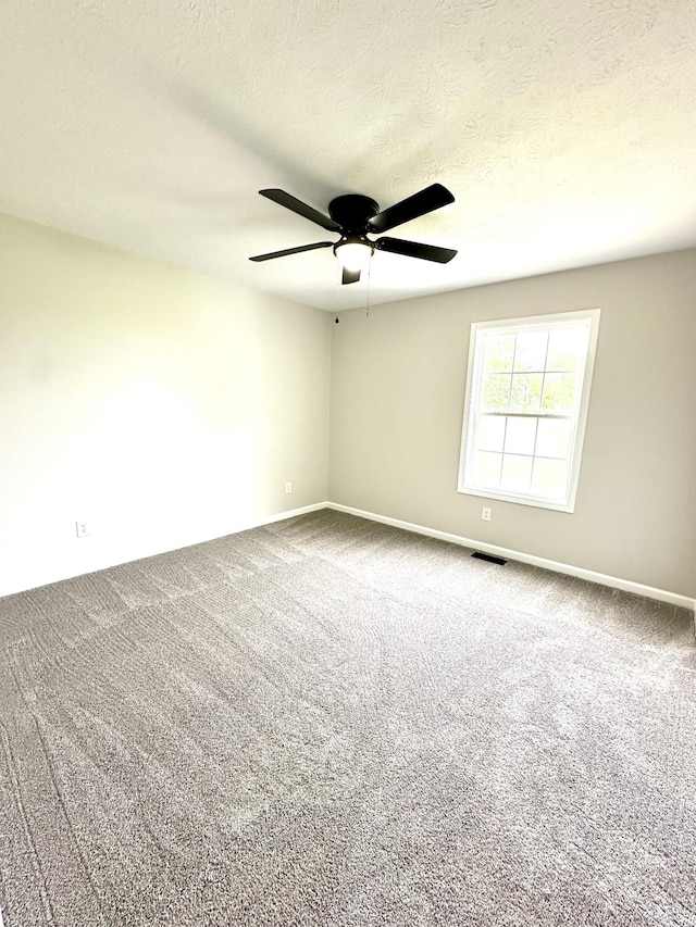 115 Briley Ln, Portland, TN 37148 - spare room with ceiling fan, carpet floors, baseboards, and a textured ceiling