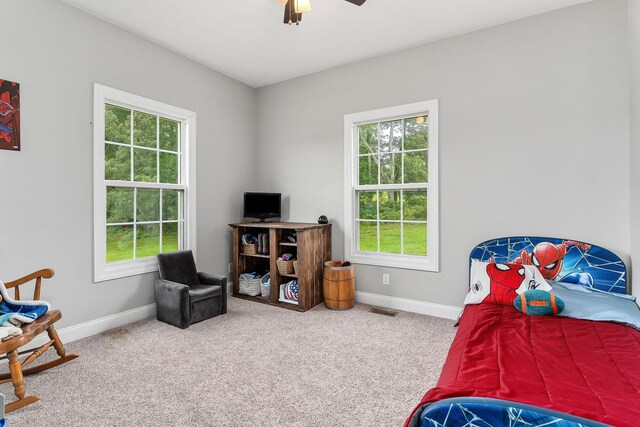 656 Osement Rd, Mcminnville, TN 37110 - photo 26