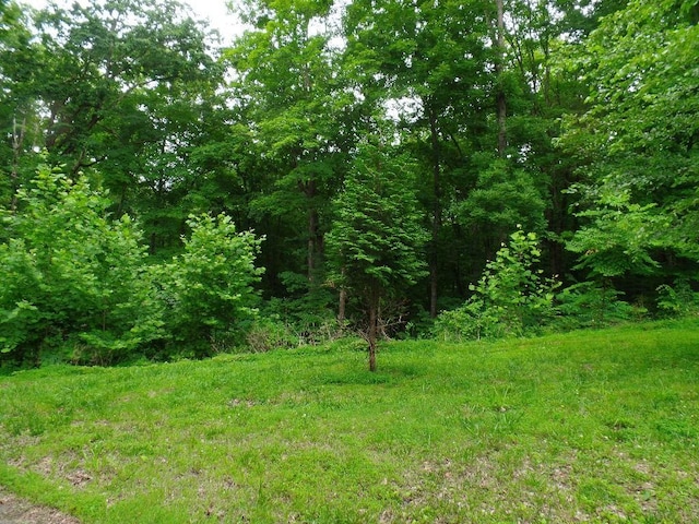 723 Mcgraw St, Clarksville, TN 37040 - view of woods