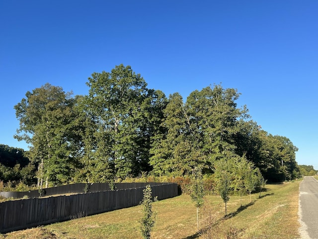 9007 Redbud Ln, Nunnelly, TN 37137 - photo 9