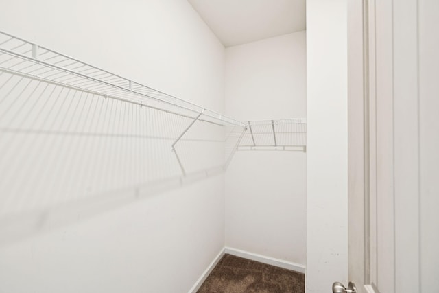 3211 Briar Chapel Dr, Murfreesboro, TN 37128 - spacious closet with dark colored carpet