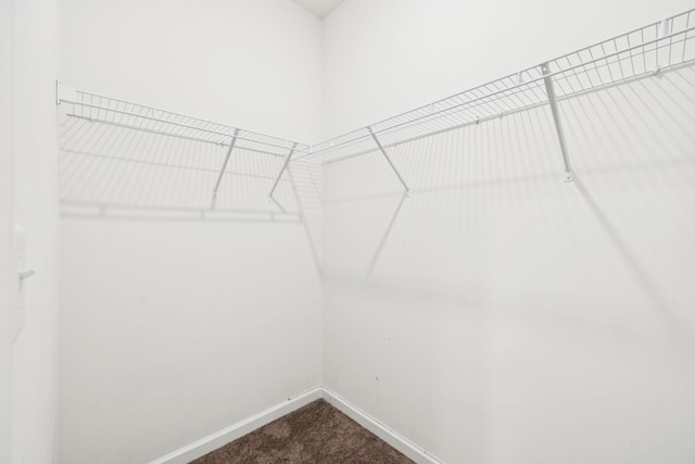 3211 Briar Chapel Dr, Murfreesboro, TN 37128 - walk in closet with dark colored carpet