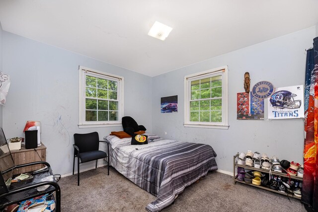 203 Townes Dr, Nashville, TN 37211 - photo 13