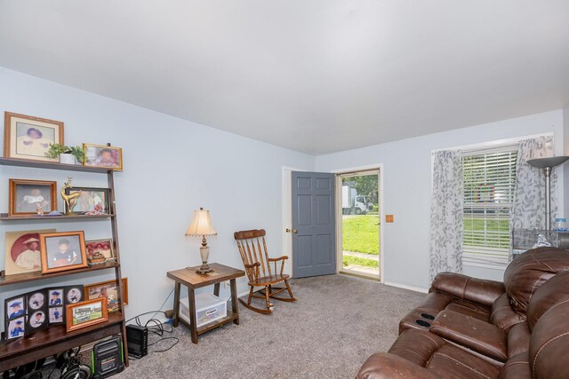 203 Townes Dr, Nashville, TN 37211 - photo 4