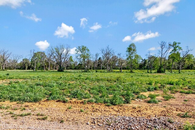 2242 Unionville Deason Rd, Bell Buckle, TN 37020 - photo 41