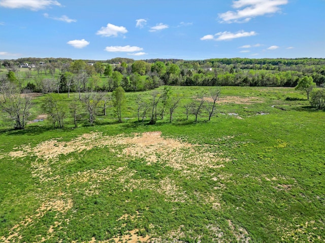 2242 Unionville Deason Rd, Bell Buckle, TN 37020 - photo 49