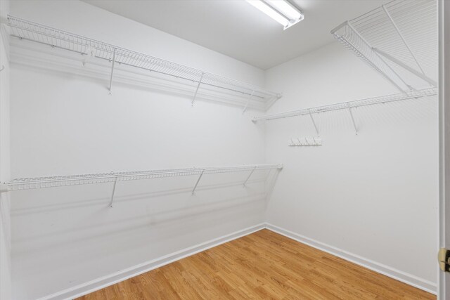 639 Forest Glen Cir, Murfreesboro, TN 37128 - photo 23