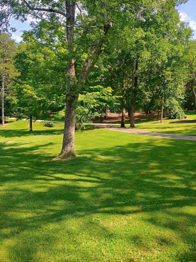 526 Margaret Cir, Mcminnville, TN 37110 - photo 8