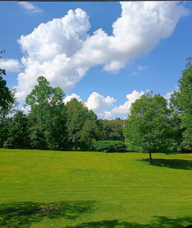 526 Margaret Cir, Mcminnville, TN 37110 - photo 43