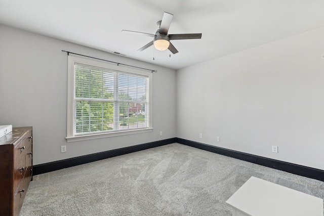 1343 Dunraven Dr, Murfreesboro, TN 37128 - photo 34
