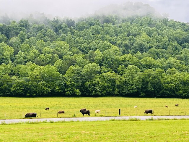 486 Salt Lick Creek Rd, Pleasant Shade, TN 37145 - photo 12