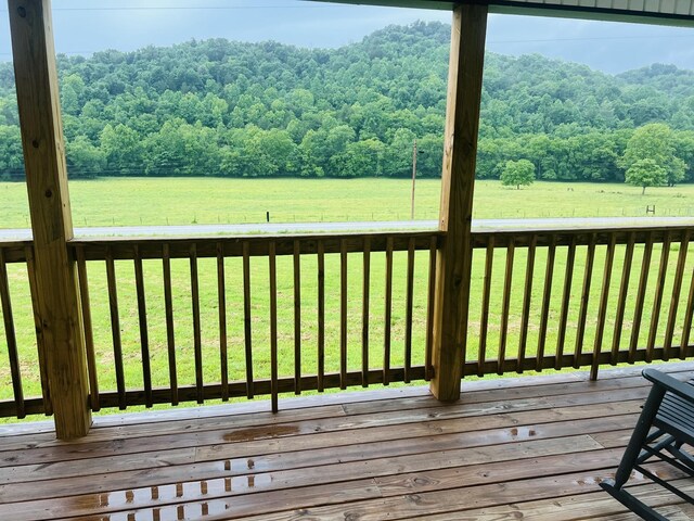 486 Salt Lick Creek Rd, Pleasant Shade, TN 37145 - photo 13