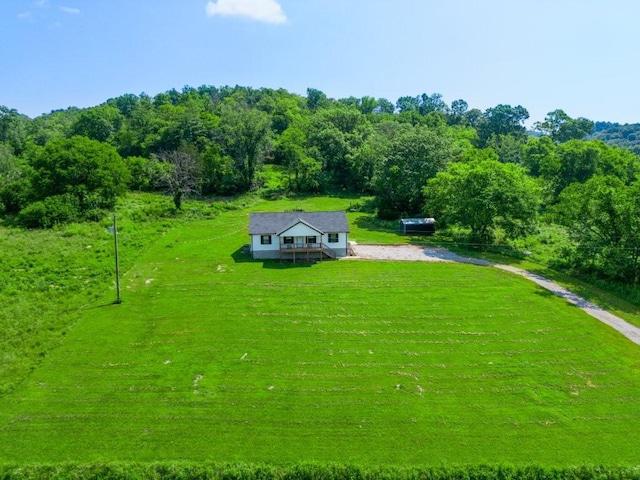 486 Salt Lick Creek Rd, Pleasant Shade, TN 37145 - photo 2