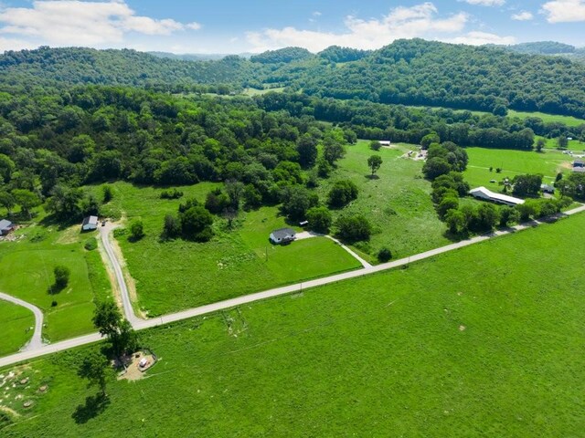 486 Salt Lick Creek Rd, Pleasant Shade, TN 37145 - photo 43
