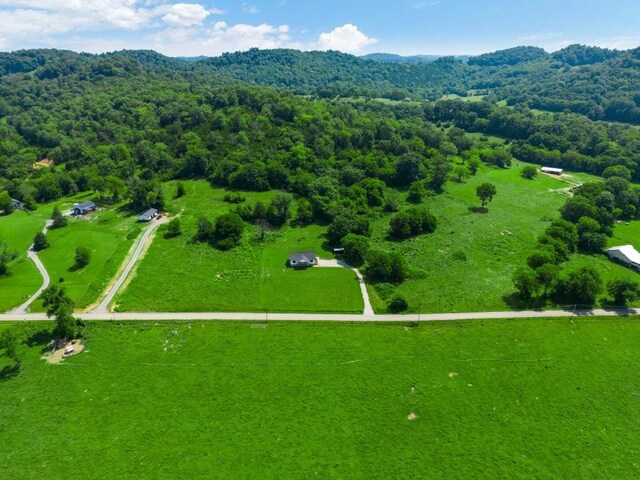 486 Salt Lick Creek Rd, Pleasant Shade, TN 37145 - photo 46