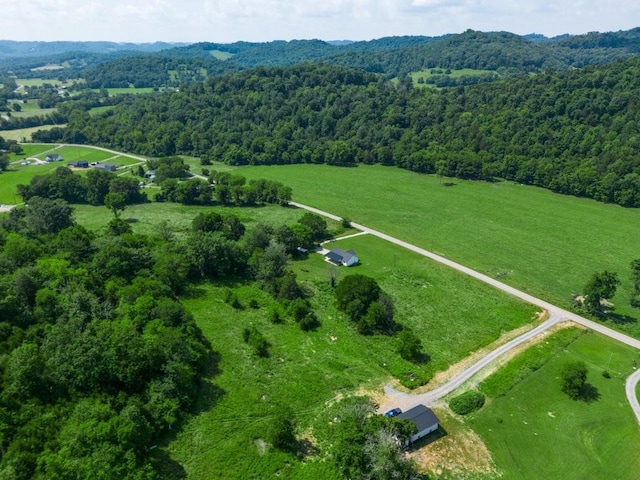 486 Salt Lick Creek Rd, Pleasant Shade, TN 37145 - photo 44