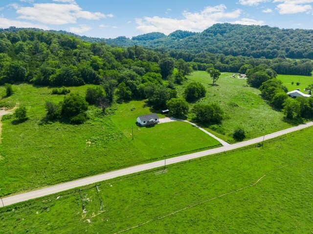 486 Salt Lick Creek Rd, Pleasant Shade, TN 37145 - photo 42