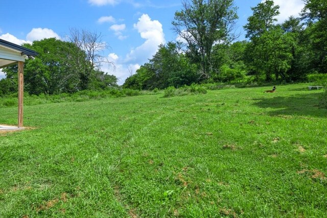 486 Salt Lick Creek Rd, Pleasant Shade, TN 37145 - photo 51