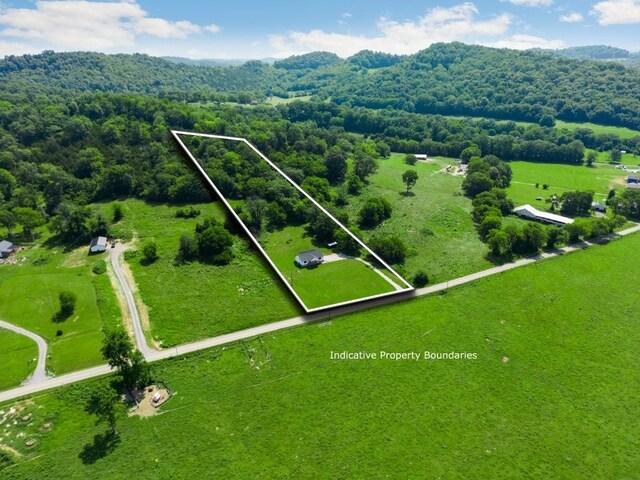 486 Salt Lick Creek Rd, Pleasant Shade, TN 37145 - photo 7