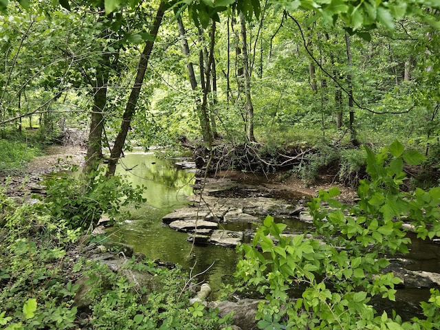 2524 Distillery Rd, Greenbrier, TN 37073 - view of nature