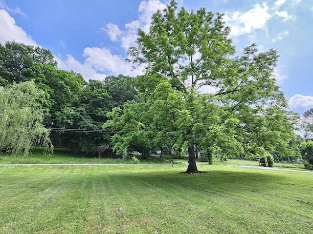 2524 Distillery Rd, Greenbrier, TN 37073 - view of grassy yard