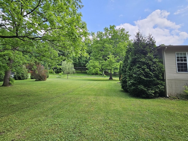 2524 Distillery Rd, Greenbrier, TN 37073 - view of grassy yard