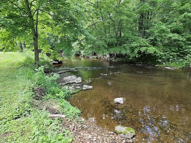 2524 Distillery Rd, Greenbrier, TN 37073 - view of yard featuring a wooded view