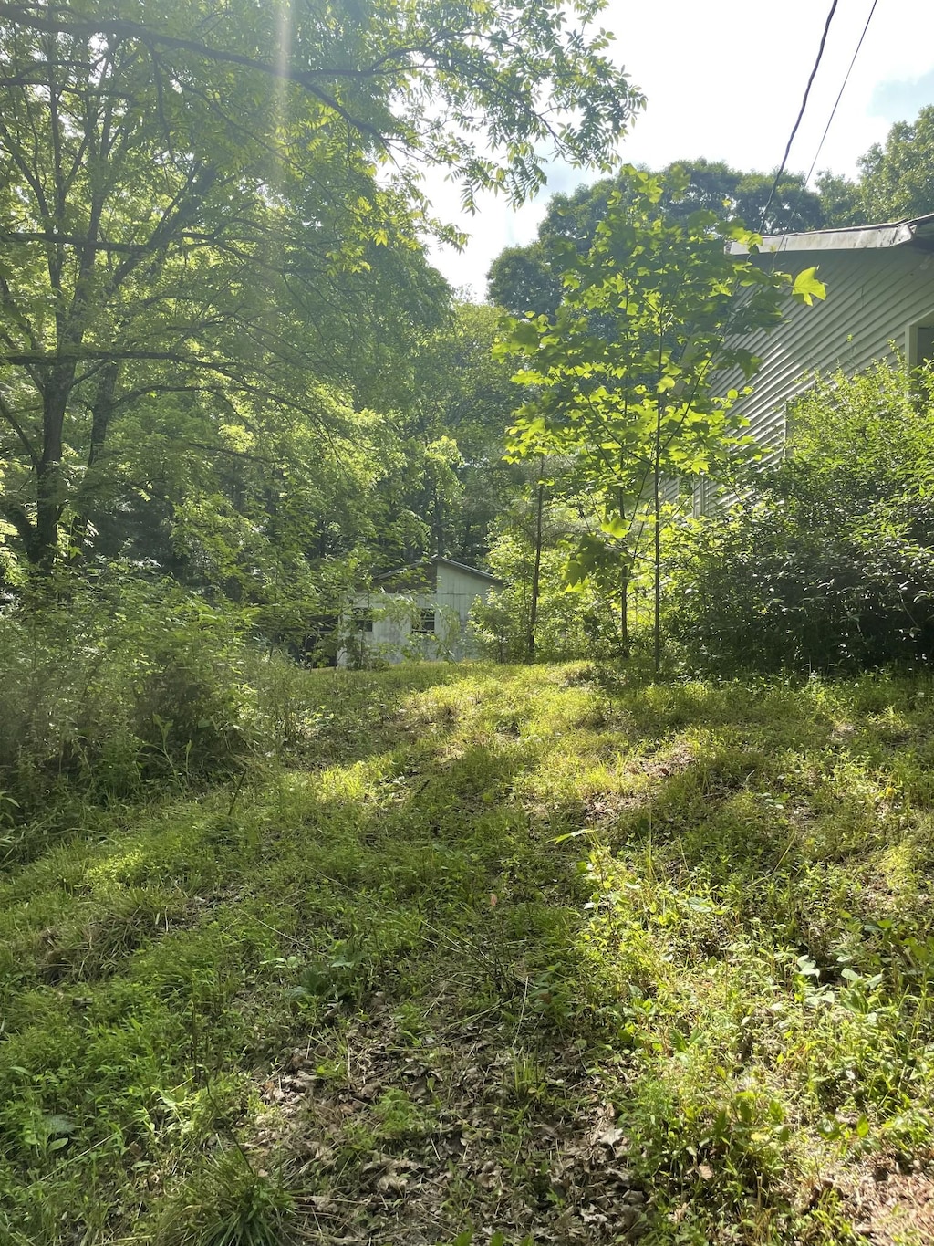 75 Hughes Hollow Rd, Lawrenceburg, TN 38464 - view of yard