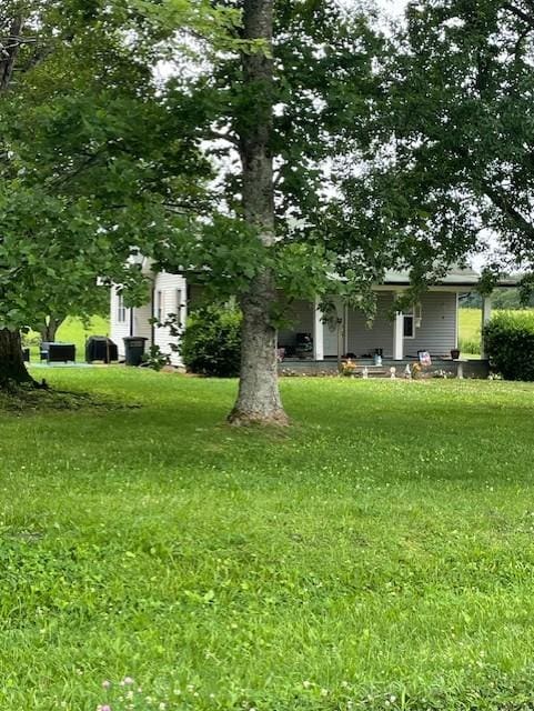 121 Dunn Fall River Rd, Leoma, TN 38468 - view of grassy yard