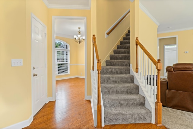 814 Alex Way, Mount Juliet, TN 37122 - photo 19