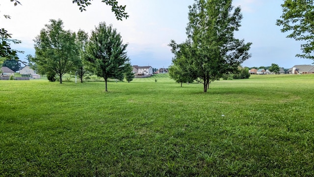 106 Mesa Dr, Portland, TN 37148 - photo 48