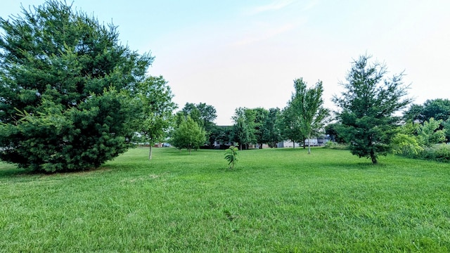106 Mesa Dr, Portland, TN 37148 - photo 46