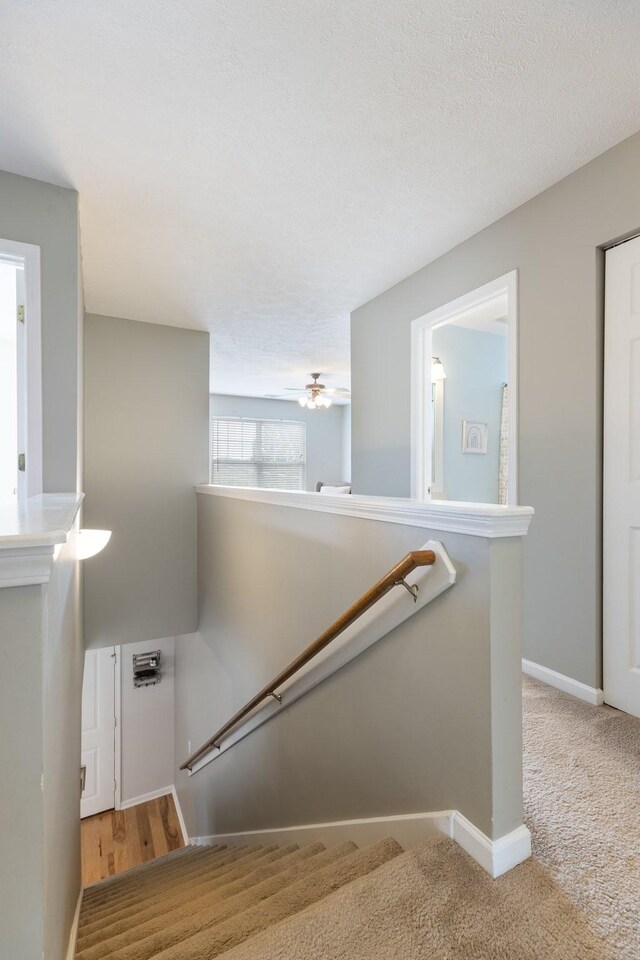 7104 Commonwealth Cir, Nashville, TN 37221 - photo 43