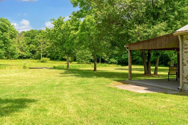 308 Collier Ln, Gallatin, TN 37066 - photo 21