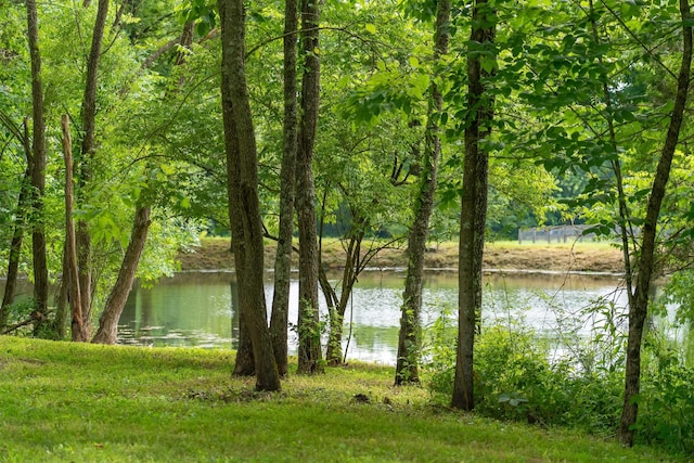 308 Collier Ln, Gallatin, TN 37066 - photo 28