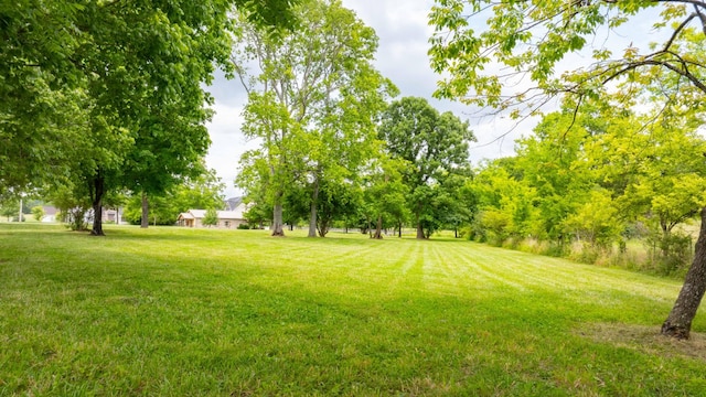 0 Collier Ln, Gallatin, TN 37066