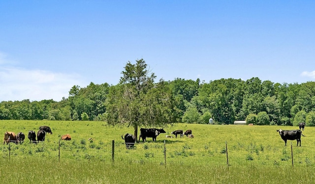 285 Harmony Ln, Smithville, TN 37166 - photo 34