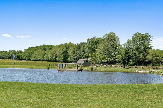 285 Harmony Ln, Smithville, TN 37166 - photo 76
