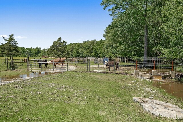 285 Harmony Ln, Smithville, TN 37166 - photo 32