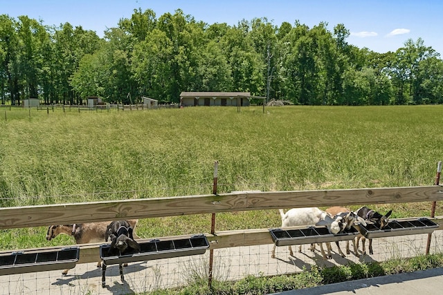 285 Harmony Ln, Smithville, TN 37166 - photo 31