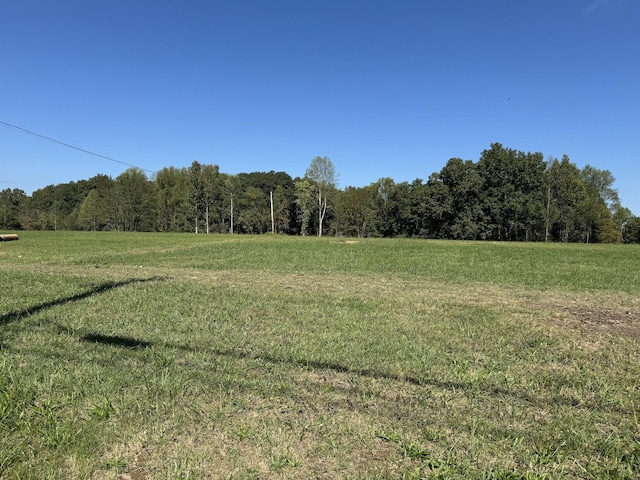 0 Allen Ferry Rd, Smithville, TN 37166 - photo 3