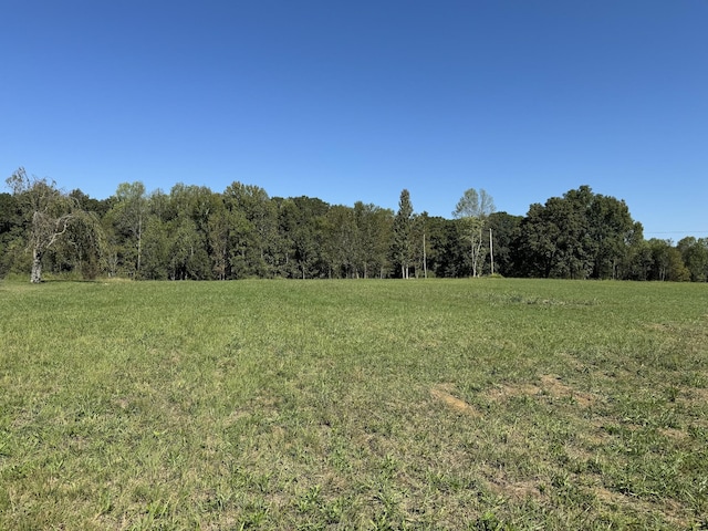 0 Allen Ferry Rd, Smithville, TN 37166 - photo 2