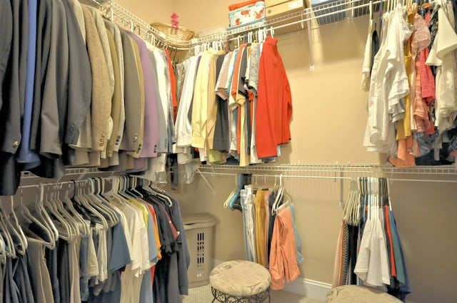 3173 Porter Hills Dr, Clarksville, TN 37043 - view of spacious closet