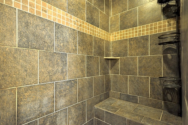 3173 Porter Hills Dr, Clarksville, TN 37043 - bathroom view of a tile shower
