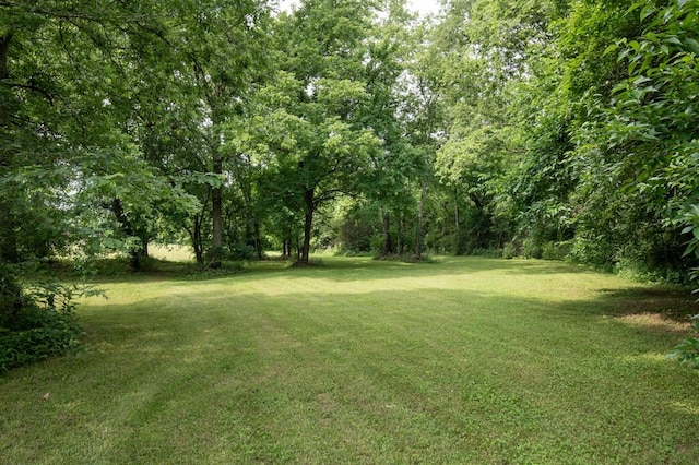 104 Branham Mill Rd, Gallatin, TN 37066 - photo 59