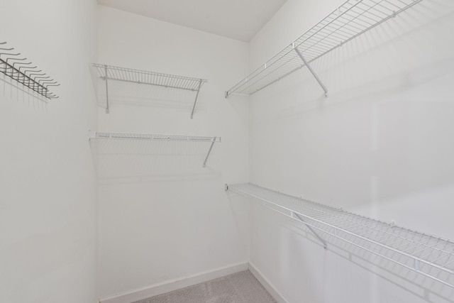 1101 Downs Blvd Unit 295, Franklin, TN 37064 - walk in closet with light colored carpet