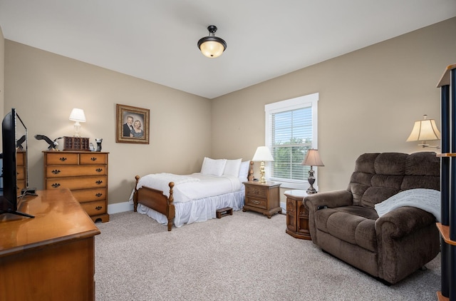 3456 Red Oak Trl, Murfreesboro, TN 37130 - bedroom featuring carpet flooring and baseboards