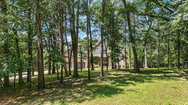 3456 Red Oak Trl, Murfreesboro, TN 37130 - view of green lawn